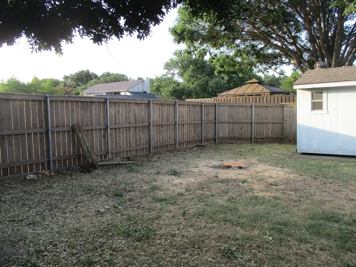 Cleared yard after professional tree removal in Port Hueneme Cbc Base